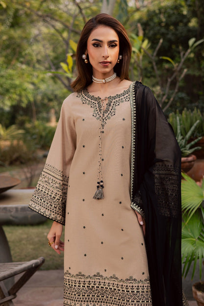 BT 2985 - 3 Piece Unstitched Embroidered Dhanak Fabric With Embroidered Dhanak Shawl
